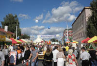 Kobrin Fest 2009